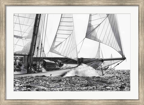 Framed Free Sailing Print