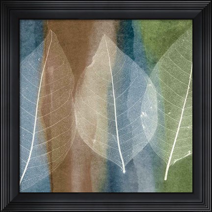 Framed Leaf Structure II Print