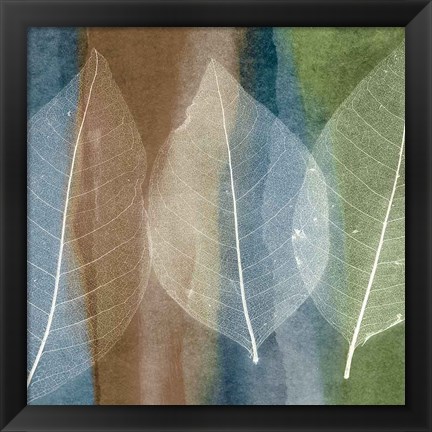 Framed Leaf Structure II Print