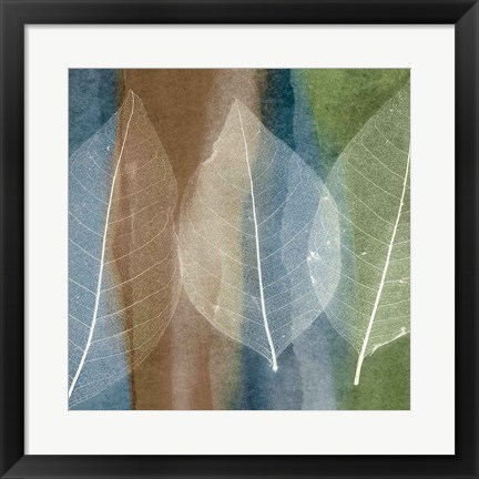 Framed Leaf Structure II Print