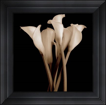 Framed Gathering - close up Print