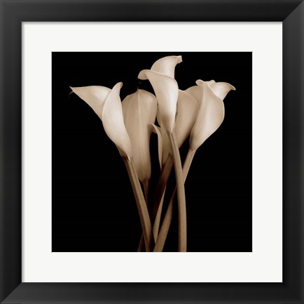 Framed Gathering - close up Print