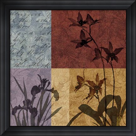 Framed Floral Refrain II Print