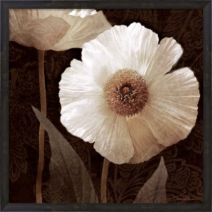 Framed Paisley Poppy II Print