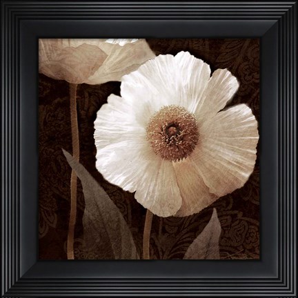 Framed Paisley Poppy II Print