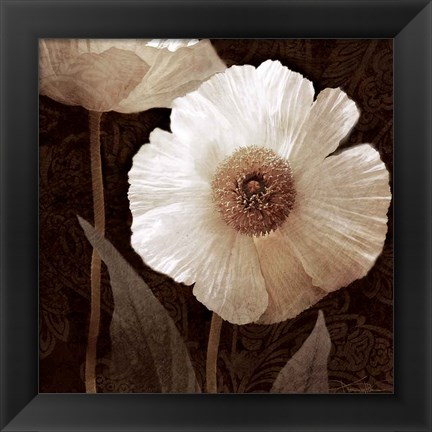 Framed Paisley Poppy II Print