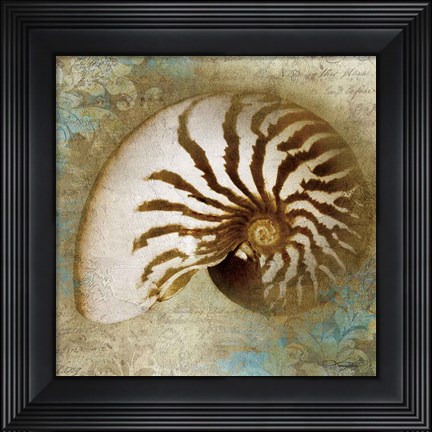 Framed Nautical Beauty Print