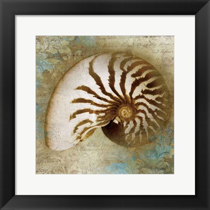 Framed Nautical Beauty Print