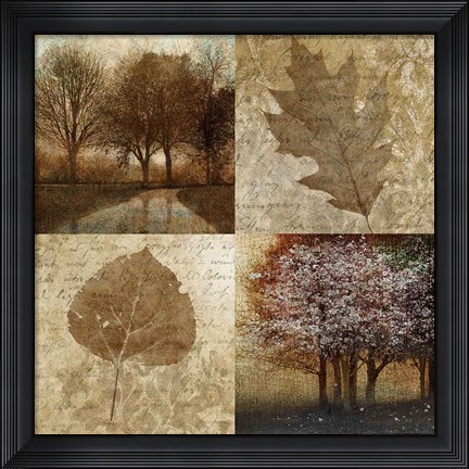 Framed Arcadian Grove II Print