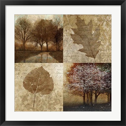 Framed Arcadian Grove II Print