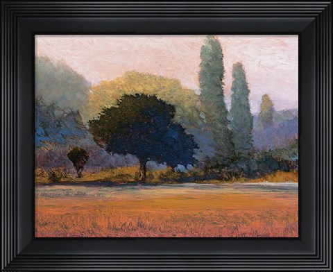 Framed Campana Print