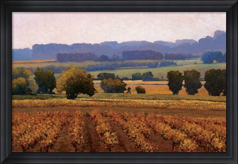 Framed Terroir Print