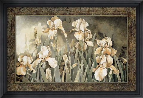 Framed Field of Irises Print