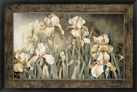 Framed Field of Irises Print