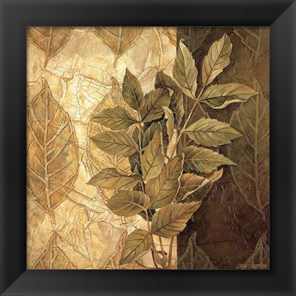 Framed Leaf Patterns IV Print