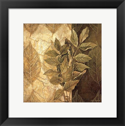 Framed Leaf Patterns IV Print