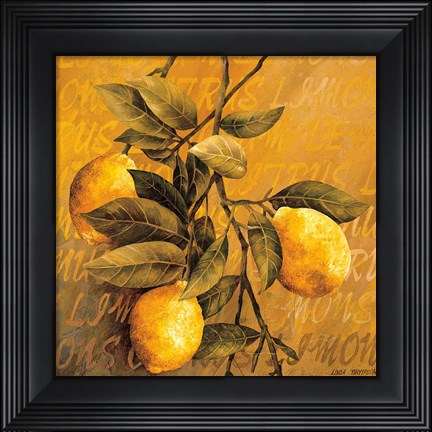Framed Lemon Branch Print