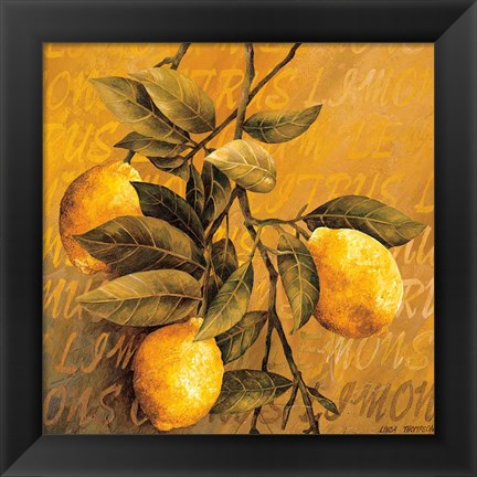 Framed Lemon Branch Print