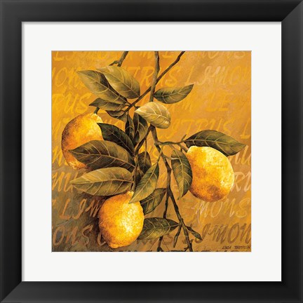 Framed Lemon Branch Print