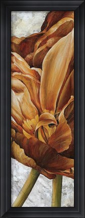 Framed Floral I Print
