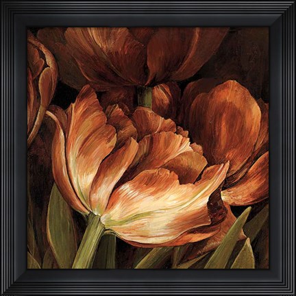 Framed Color Harmony II Print