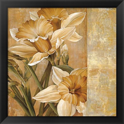 Framed Champagne Daffodils I Print