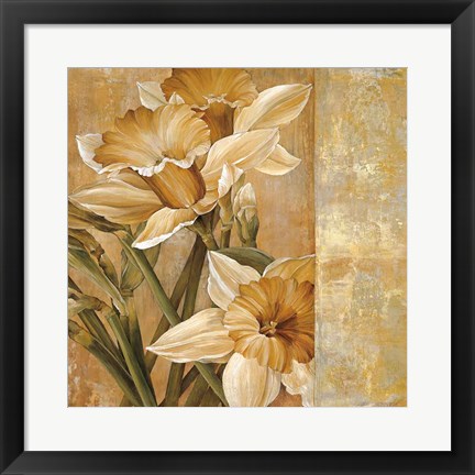 Framed Champagne Daffodils I Print