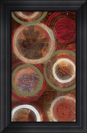 Framed Nature&#39;s Spheres I Print