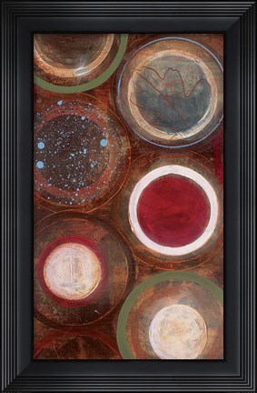 Framed Nature&#39;s Spheres II Print