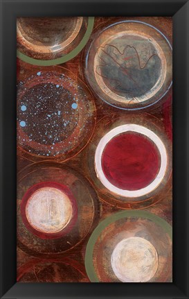 Framed Nature&#39;s Spheres II Print