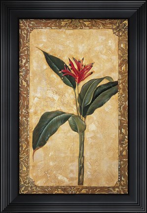 Framed Tropical Daydream II Print