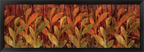 Framed Coral Fields Print
