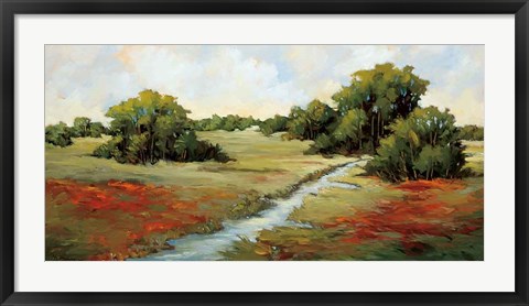 Framed Kissimmee Grasslands Print