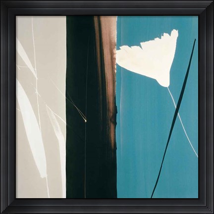 Framed Divine Print
