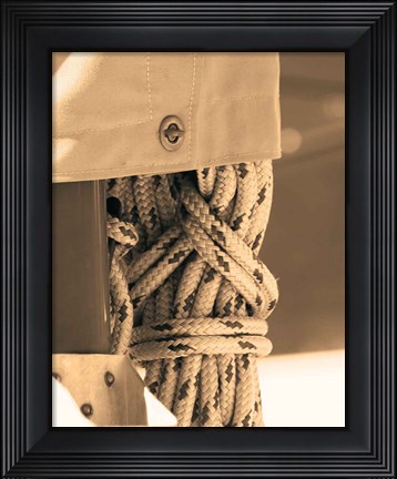 Framed Drasnin Nautical Series II Print