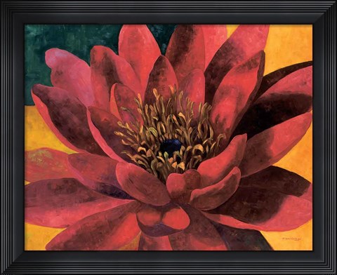 Framed Red Water Lily Print