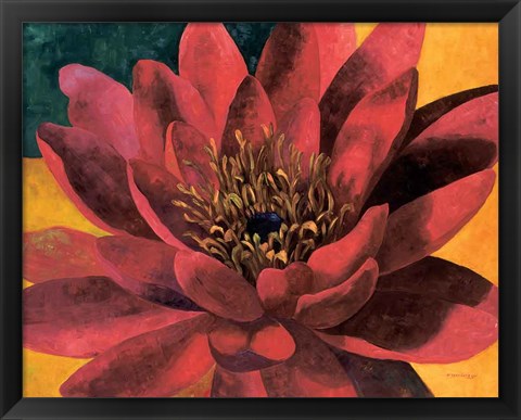 Framed Red Water Lily Print