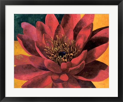 Framed Red Water Lily Print