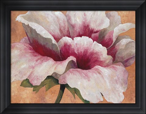 Framed Pink Begonia Print