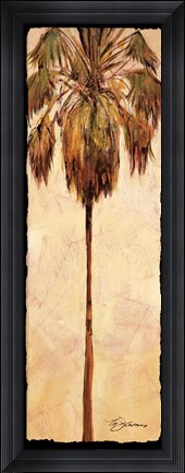 Framed Hollywood Print