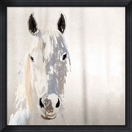 Framed Sage Print