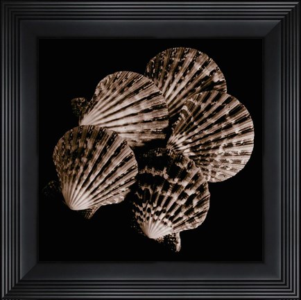 Framed Cinq ventails Print