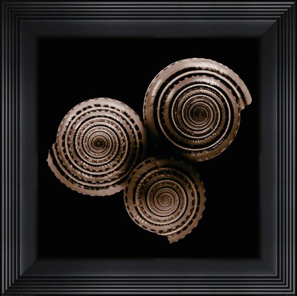 Framed Sundials Print