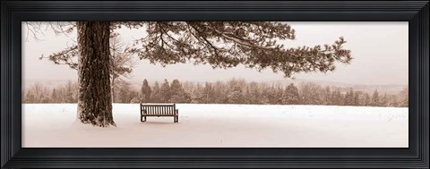 Framed First Snow II Print