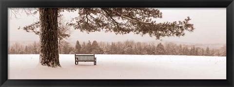 Framed First Snow II Print