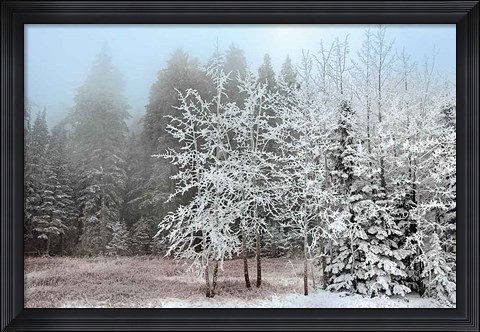 Framed Frosty Morning Print