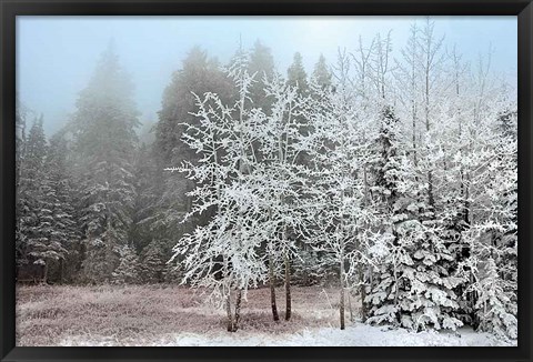 Framed Frosty Morning Print