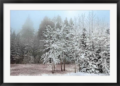 Framed Frosty Morning Print