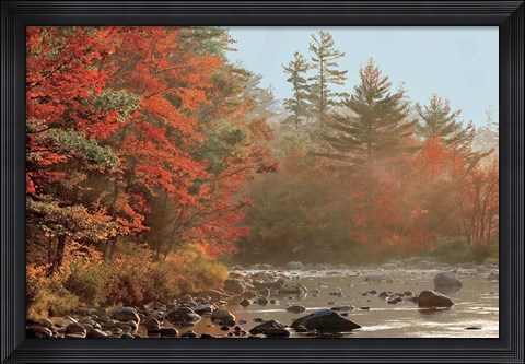 Framed Foggy River Print