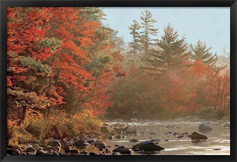 Framed Foggy River Print